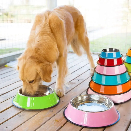 Custom Stainless Steel Pet Dog Bowl Feeder Skidproof Anti-ant Shape Cat Dog Bowls Food Accessories Pet Supplies