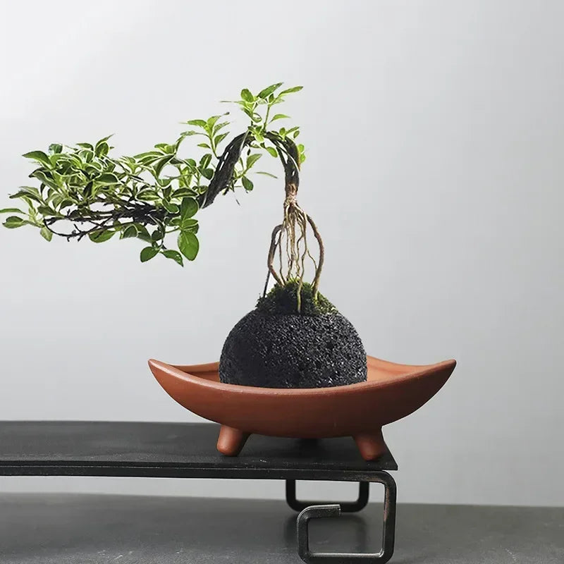 Ceramic Flower Pots for Bamboo Indoor Micro Landscape Plants Purple Clay Pot Decoration