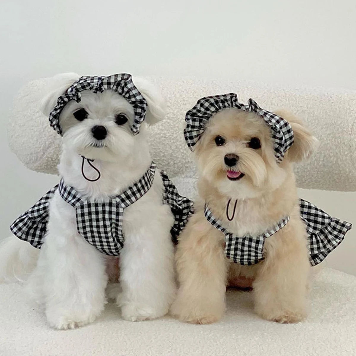 Fashion Dog Clothing Modern Style Black White Plaid Skirt With Hat Suit Dog Clothes Dresses Pet Accessories Puppy Summer Clothes