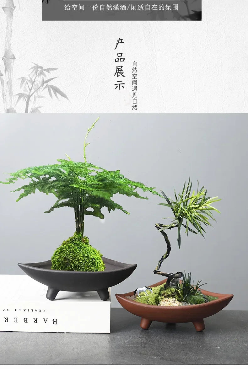 Ceramic Flower Pots for Bamboo Indoor Micro Landscape Plants Purple Clay Pot Decoration