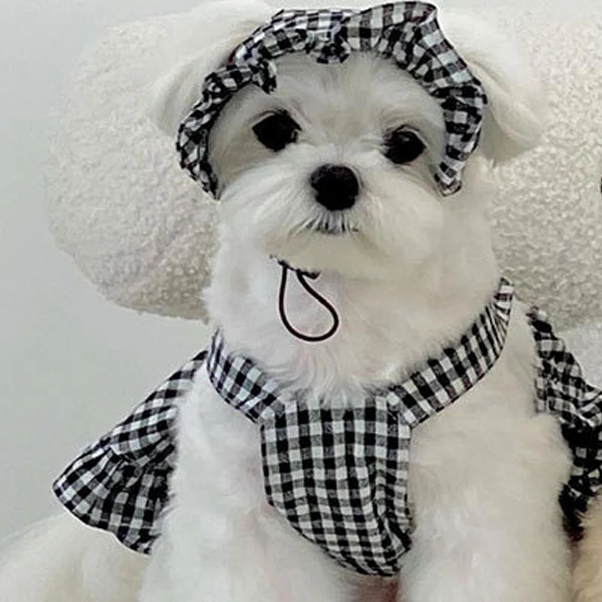 Fashion Dog Clothing Modern Style Black White Plaid Skirt With Hat Suit Dog Clothes Dresses Pet Accessories Puppy Summer Clothes