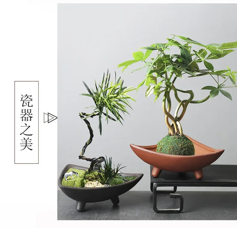 Ceramic Flower Pots for Bamboo Indoor Micro Landscape Plants Purple Clay Pot Decoration